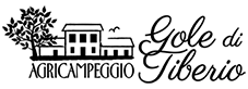 Escursioni