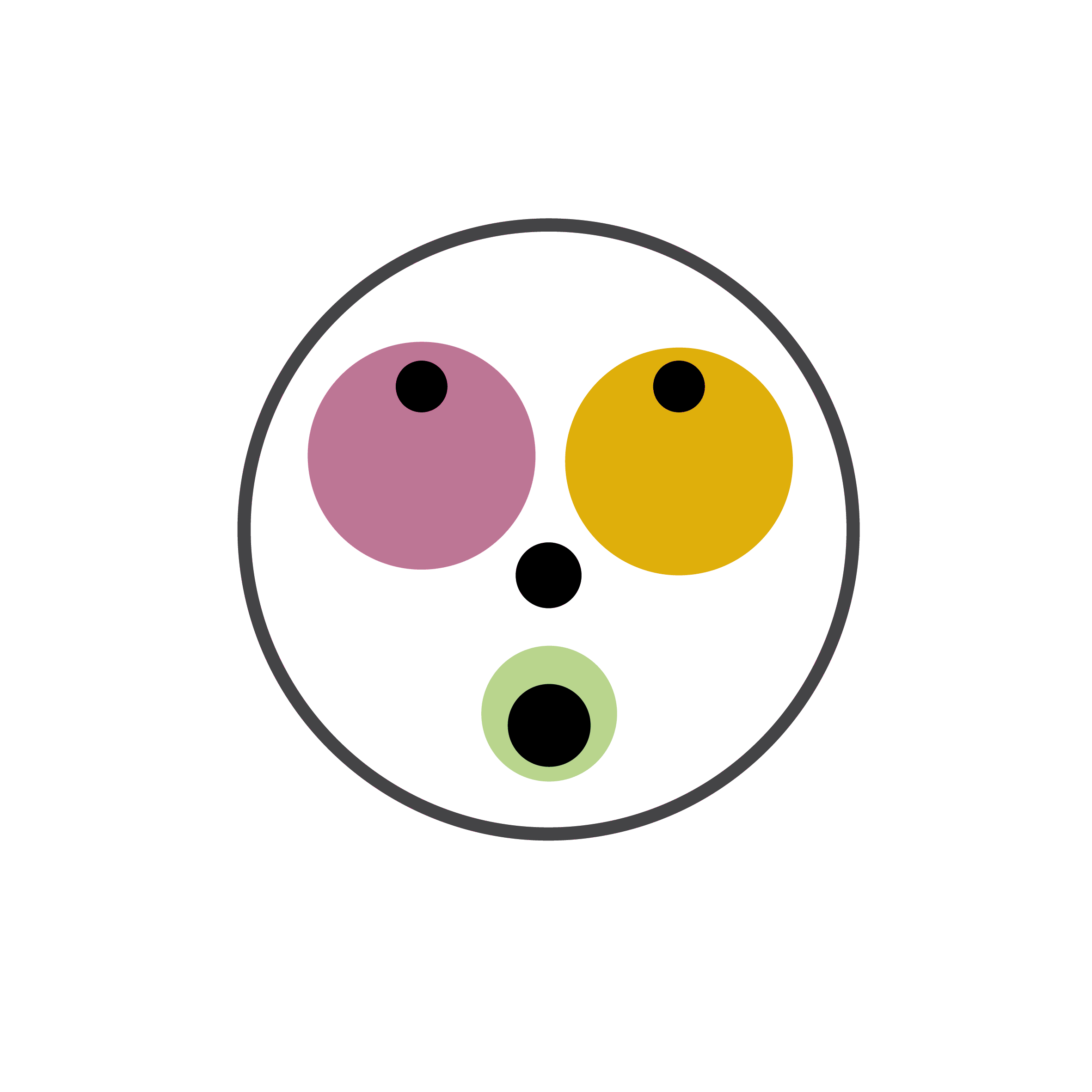 DIM-IN-GIF copia